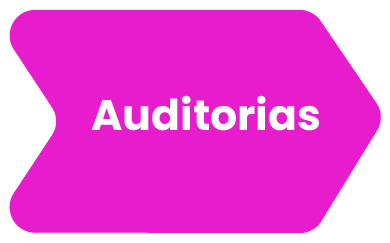 Auditorias