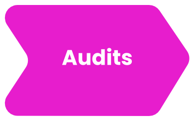 Audits